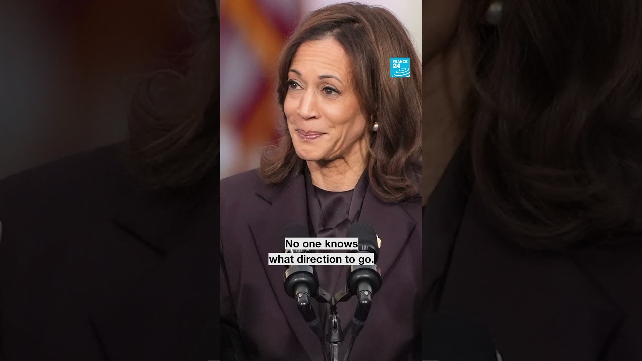 "People are tired to fight against #Trump" 🇺🇸 The Dial Editor in Chief Schwartz • FRANCE 24 English