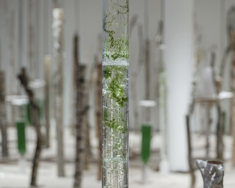 A Bio-Digital Exploration: ecoLogicStudio Opens Deep Forest Exhibition at the Louisiana Museum in Denmark - Image 13 of 32
