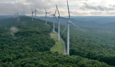 How Businesses And Investors Are Responding To Trump 2.0 On Climate, Energy
