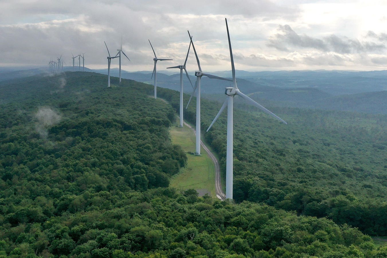 How Businesses And Investors Are Responding To Trump 2.0 On Climate, Energy