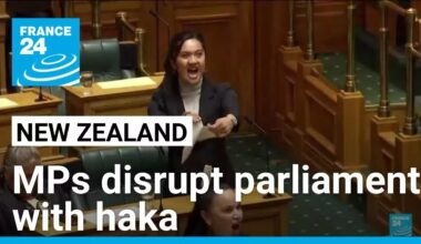 New Zealand MPs disrupt parliament with haka to protest Indigenous treaty bill • FRANCE 24 English