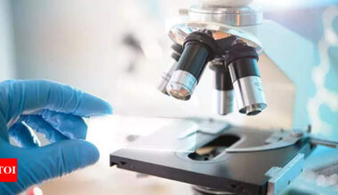 Strengthening India-Belgium Ties: A New Era in Life Sciences Collaboration | Hyderabad News