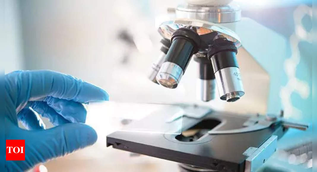 Strengthening India-Belgium Ties: A New Era in Life Sciences Collaboration | Hyderabad News