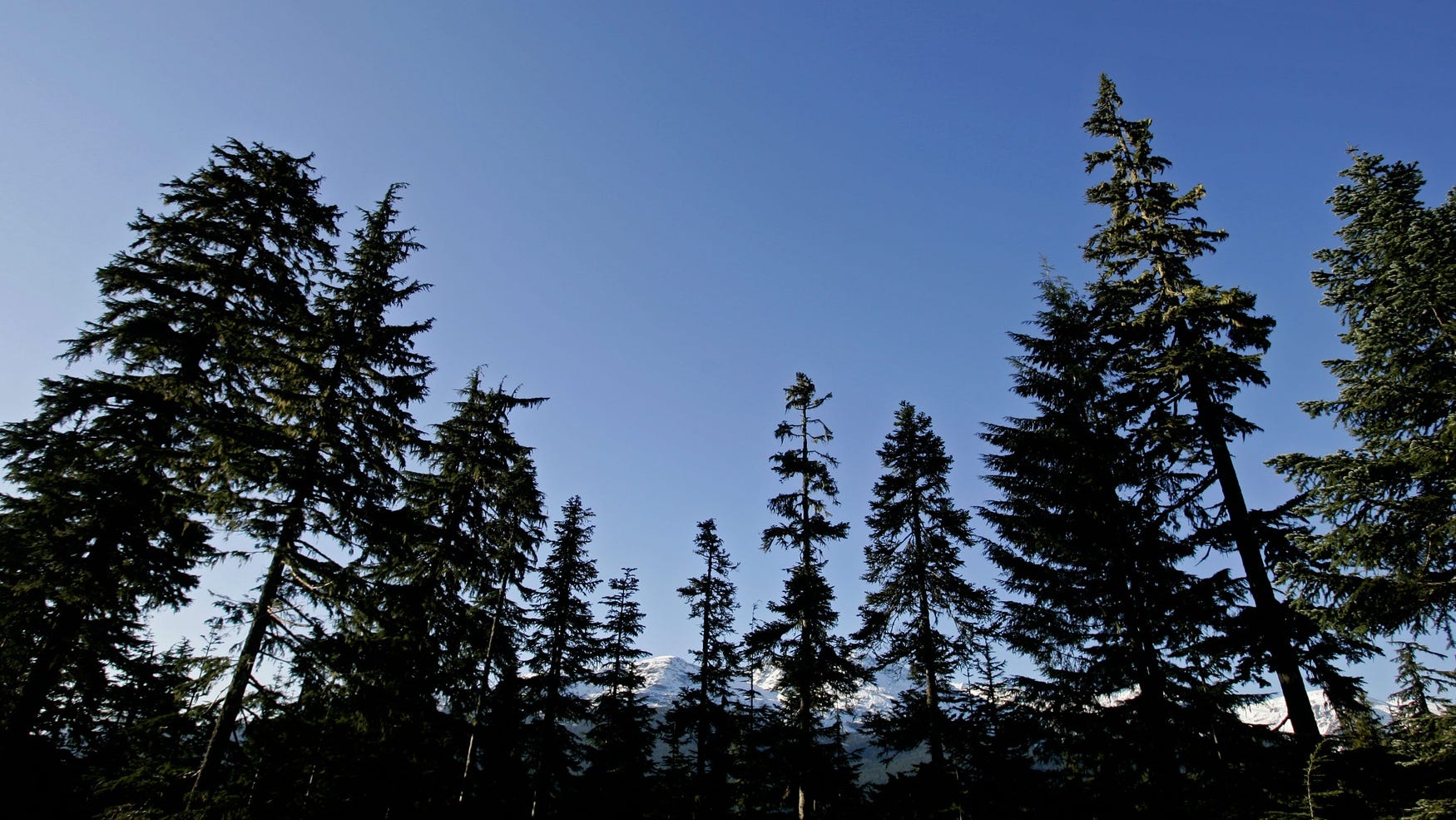 Missing hiker found alive after month alone in BC, Canada wilderness