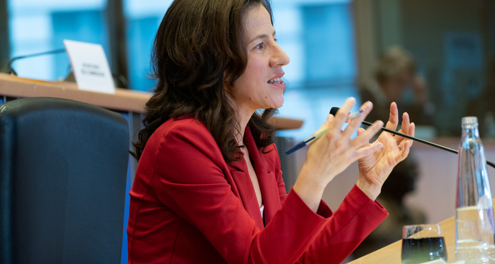 Hearing of Vice-President-designate Roxana Mînzatu | News