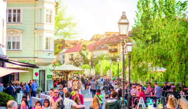 Lessons from the 2023 OECD Trust Survey in Slovenia