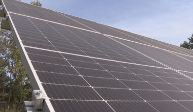 State leaders, businesses recognized for advancing clean energy