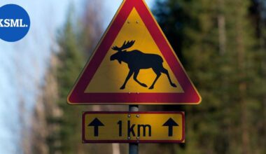 Henkilöauto vaurioitui hinauskuntoon hirvikolarissa Saarijärvellä | Keski-Suomi