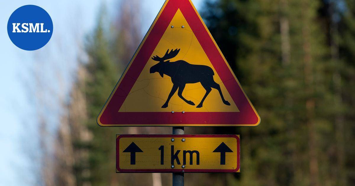Henkilöauto vaurioitui hinauskuntoon hirvikolarissa Saarijärvellä | Keski-Suomi