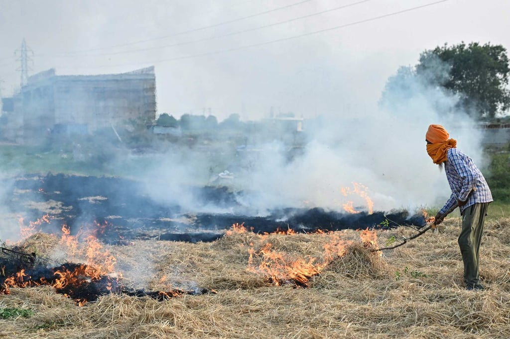 A farmer burns straw stubble after a harvest in a paddy field on the outskirts of Amritsar. Noxious smog smothering the plains of north India is not only choking the lungs of residents and killing millions, but also slowing down the country’s economic growth. Photo: AFP A farmer burns straw stubble after a harvest in a paddy field on the outskirts of Amritsar. Noxious smog smothering the plains of north India is not only choking the lungs of residents and killing millions, but also slowing down the country’s economic growth. Photo: AFP