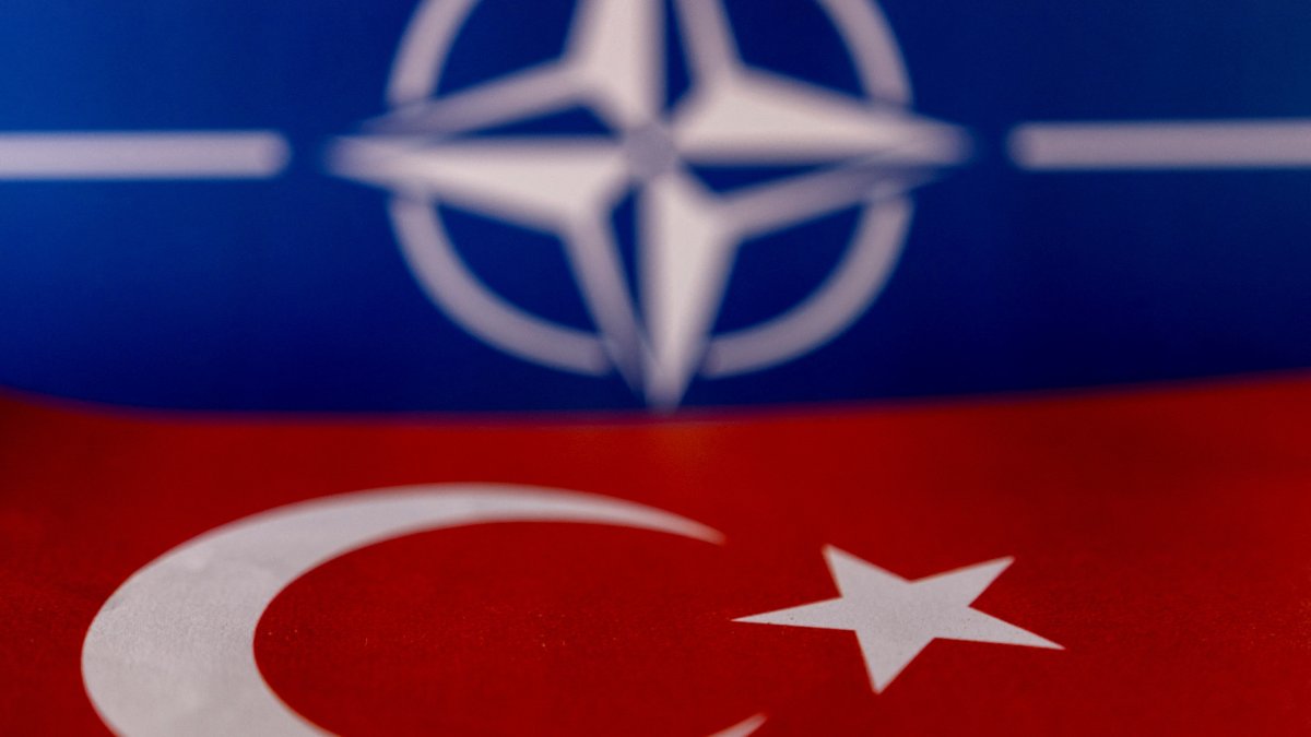 Greek Cyprus plan to apply for NATO membership 'unacceptable': Türkiye