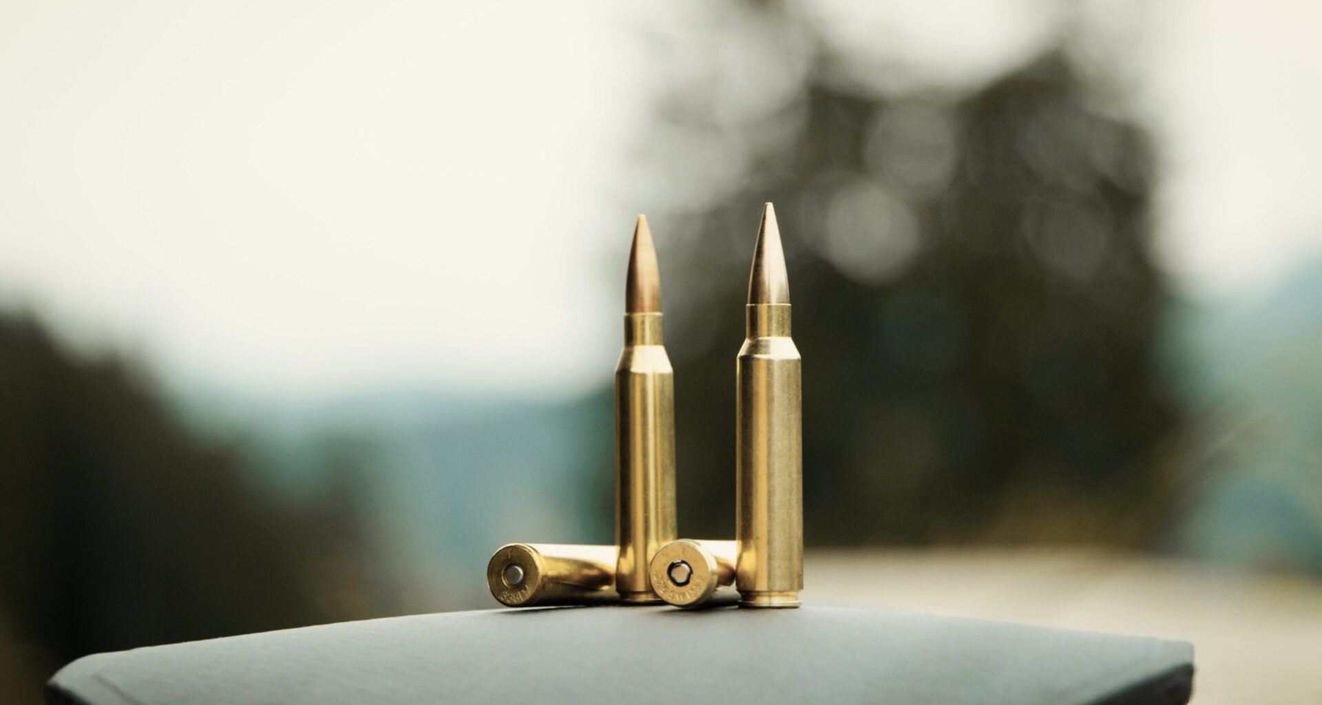 Switzerland suspends exports of ammunition to Poland due to transfers of it to Ukraine