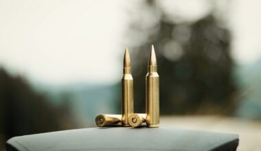 Switzerland suspends exports of ammunition to Poland due to transfers of it to Ukraine