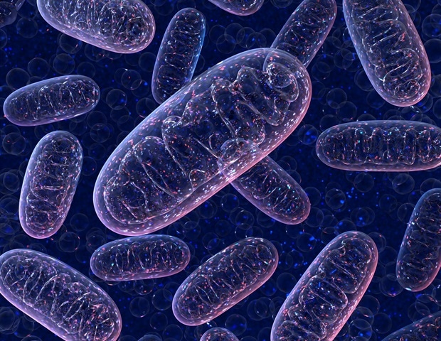 Mitochondrial energy shutdown triggers inflammatory response instead of cell death
