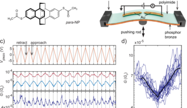 Mechanoelectric sensitivity reveals destructive quantum interference in single-molecule junctions