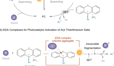 Energy-transfer-enabled photocatalytic transformations of aryl thianthrenium salts