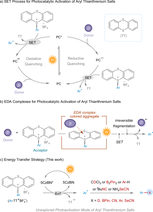 Energy-transfer-enabled photocatalytic transformations of aryl thianthrenium salts