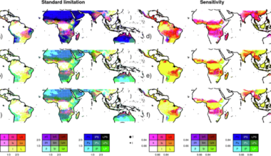 Fire, environmental and anthropogenic controls on pantropical tree cover