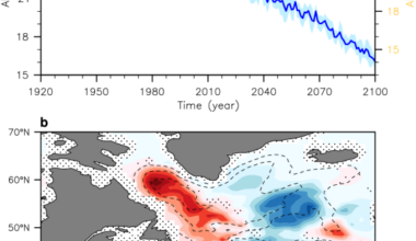 Atlantic Meridional Overturning Circulation slowdown modulates wind-driven circulations in a warmer climate