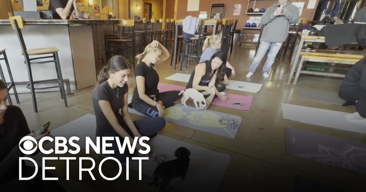 Puppies meet yoga at Farmington Hills business for unique adoption experience