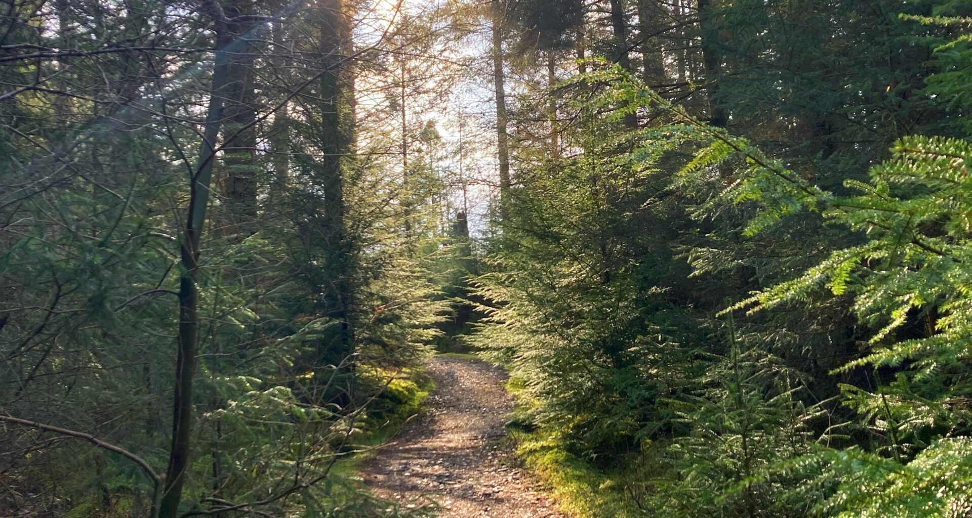 Scenic walk up Ben Venue
