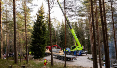 Oslo tree makes its way to London
