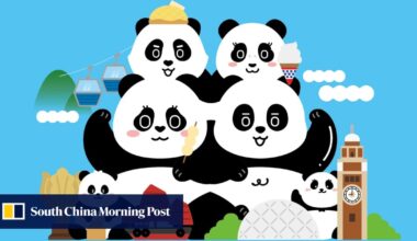 Exclusive | Hong Kong studio to draw on panda economy with new character IP