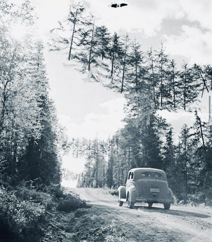 In Finland during WWII, trees were hung across roads with ropes to confuse the Russians - 1941