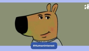 All you need to know about the viral trend and its Cryptocurrency controversy