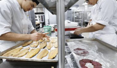 MATC culinary students find 'unity' with Danish flavors