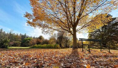 First steps initiated for Spokane's climate resiliency planning | News