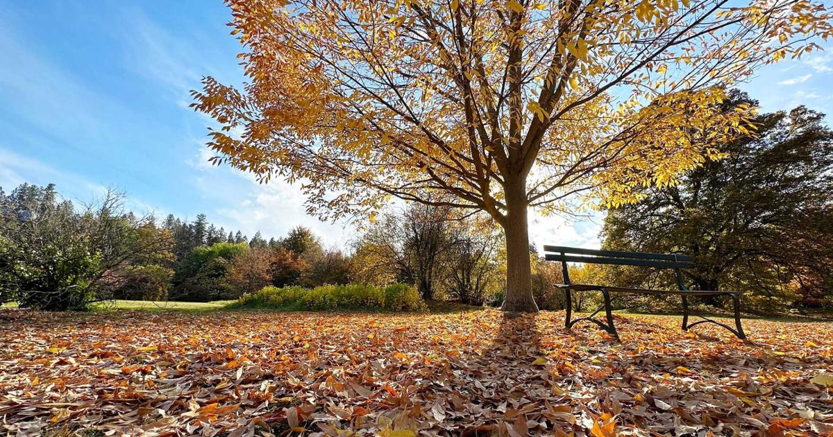 First steps initiated for Spokane's climate resiliency planning | News