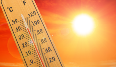 Earth on track to break heat record for second consecutive year