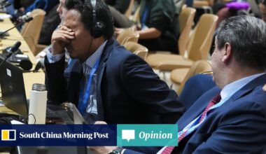 Opinion | Did Cop29 make any meaningful progress on climate change?