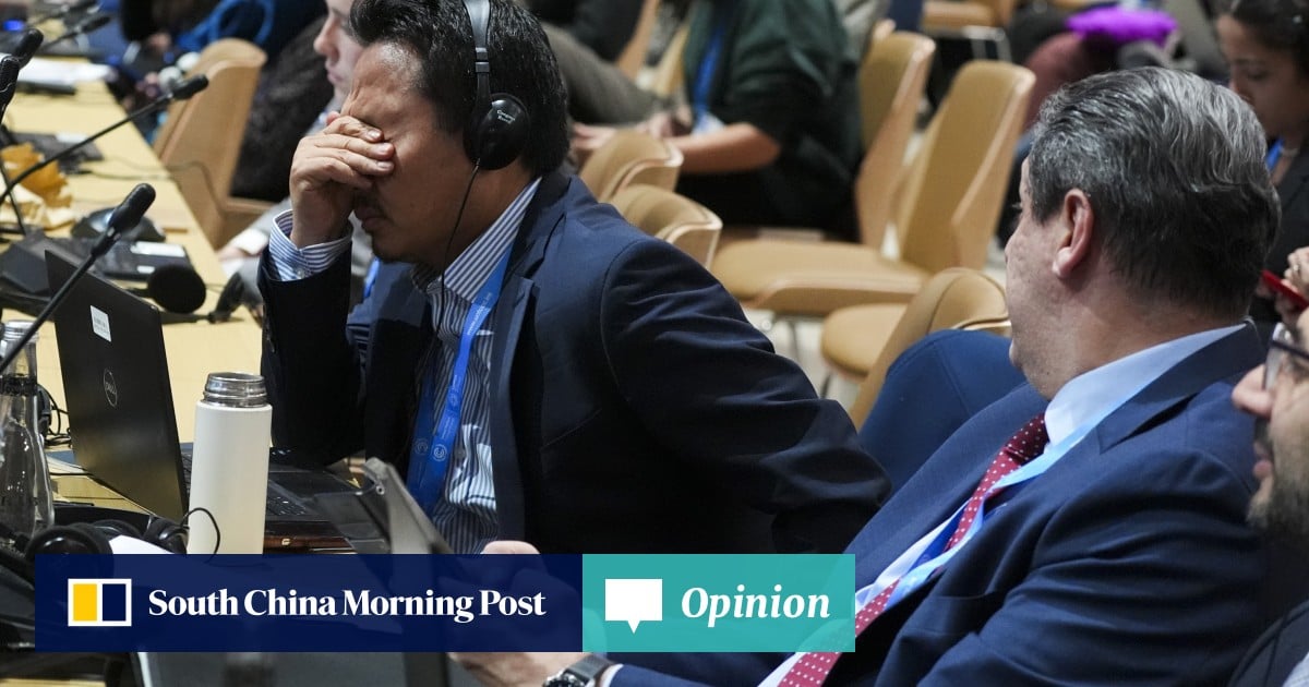 Opinion | Did Cop29 make any meaningful progress on climate change?