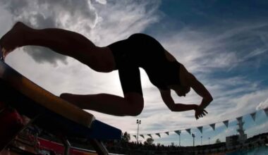 World Aquatics allows Russia and Belarus to participate in team water sports | Diving | Champion.com.ua
