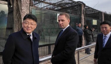Vladimir Putin sends wild animals as 'gift' to Kim Jong Un