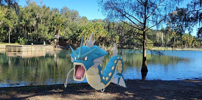 Gyarados, an evolution of the Magikarp, in the augmented reality mobile game Pokémon Go.