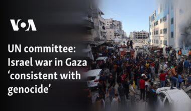 Israel war in Gaza ‘consistent with genocide’