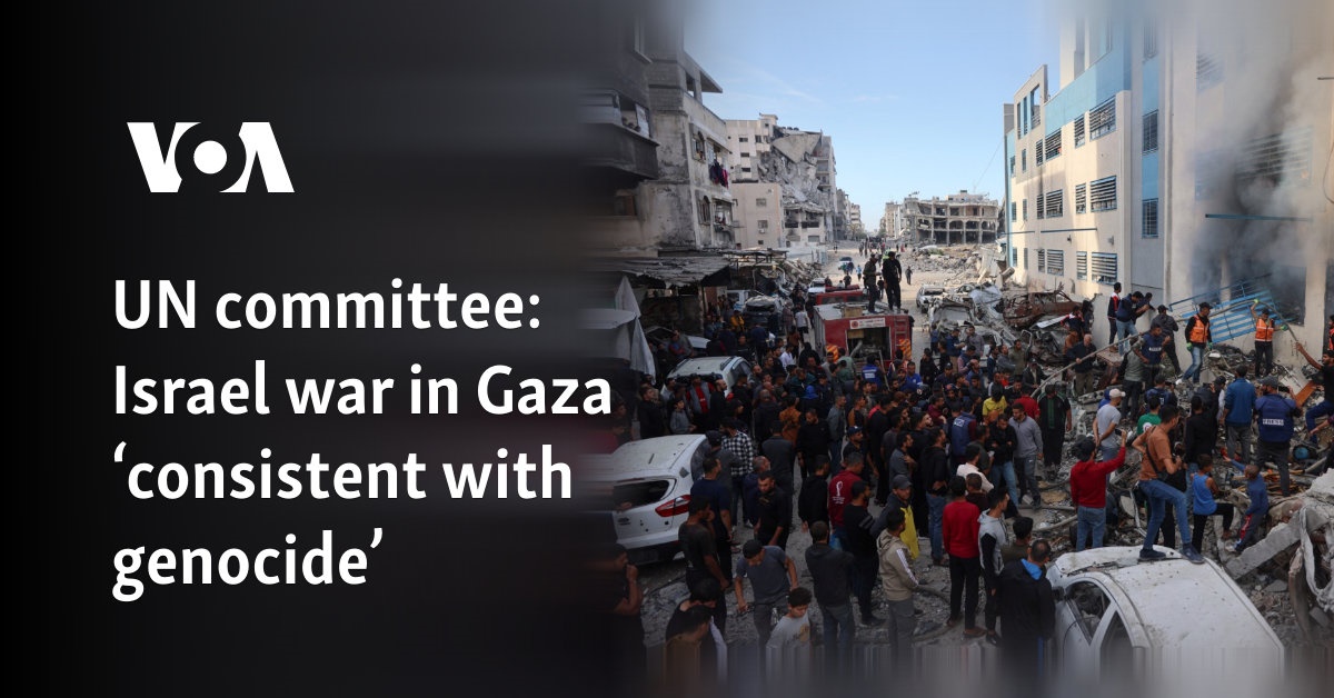 Israel war in Gaza ‘consistent with genocide’
