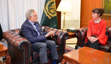 Sweden envoy calls on DPM Dar