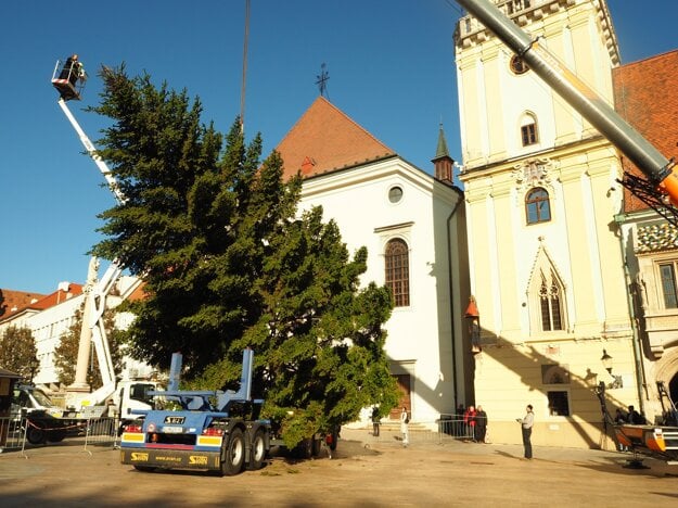 On Monday, Bratislava put up its Christmas tree in Hlavné Námestie (Main Square).