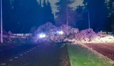 Over 519,200 without power as 'bomb cyclone' brings strong winds to western Washington