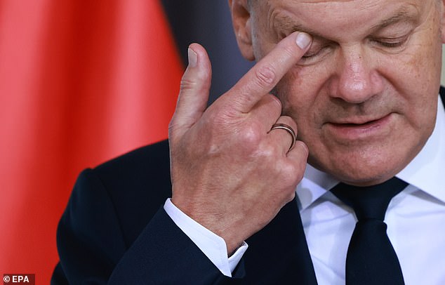 'It was agreed to coordinate closely with each other on this issue,' Olaf Scholz's (pictured) spokesman Steffen Hebestreit said