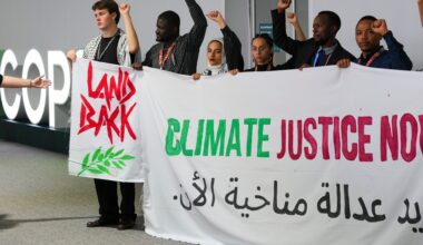 COP29 Azerbaijan: What’s at stake at the 2024 global climate summit? | Climate Crisis News