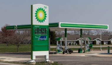 Shareholders are rightfully concerned, wondering how BP will improve its profits and standing.