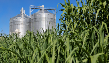 Is there enough land on Earth to fight climate change and feed the world? | MIT News
