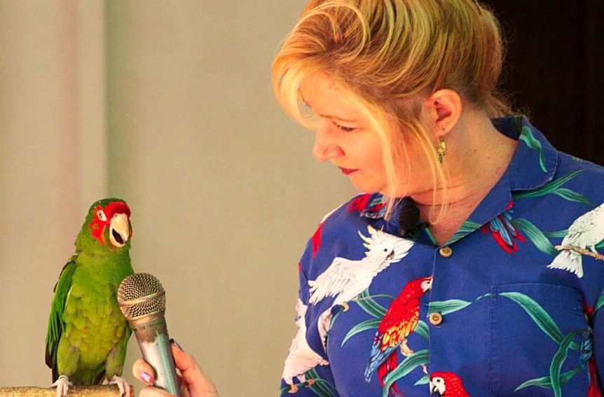 Enjoy the Amazing Bird Show During the Space Coast State Fair Now Underway in Viera