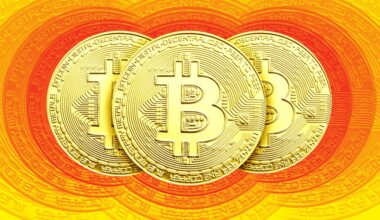 Bitcoin price hits new high on anticipated Trump victory