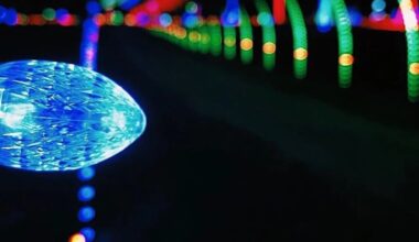 WonderLight’s Christmas in St. Louis returns to World Wide Technology Raceway